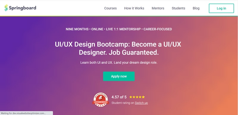 springboard ux design