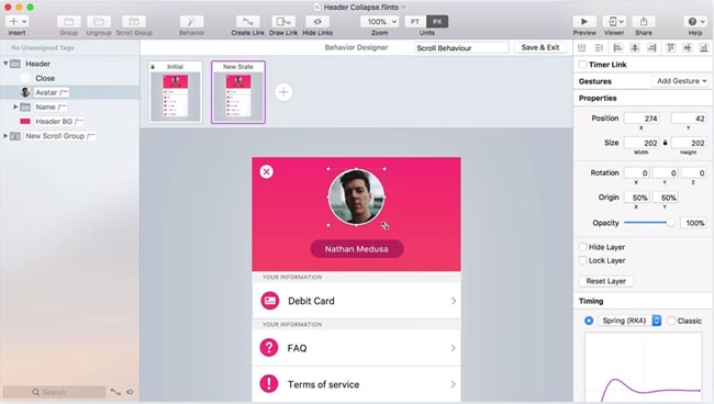 screenshot flinto user interface