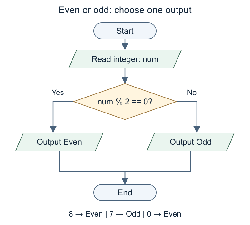 Even and odd outputs on exclusive branches